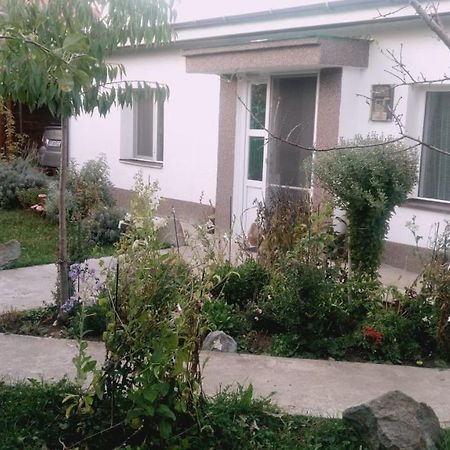 Otopeni Therme Airport Apartment Luaran gambar