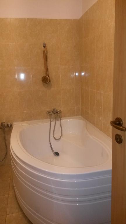 Otopeni Therme Airport Apartment Bilik gambar